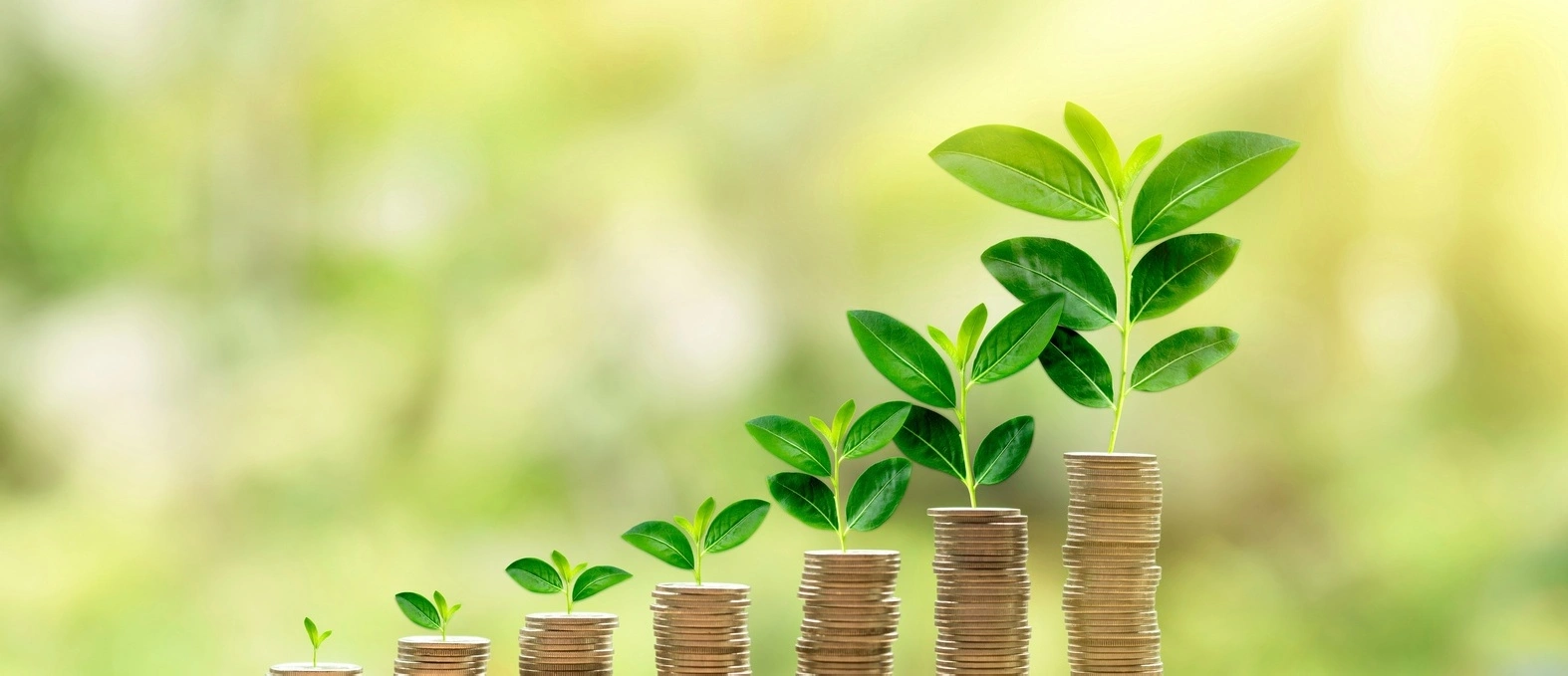 Financial growth transformation results